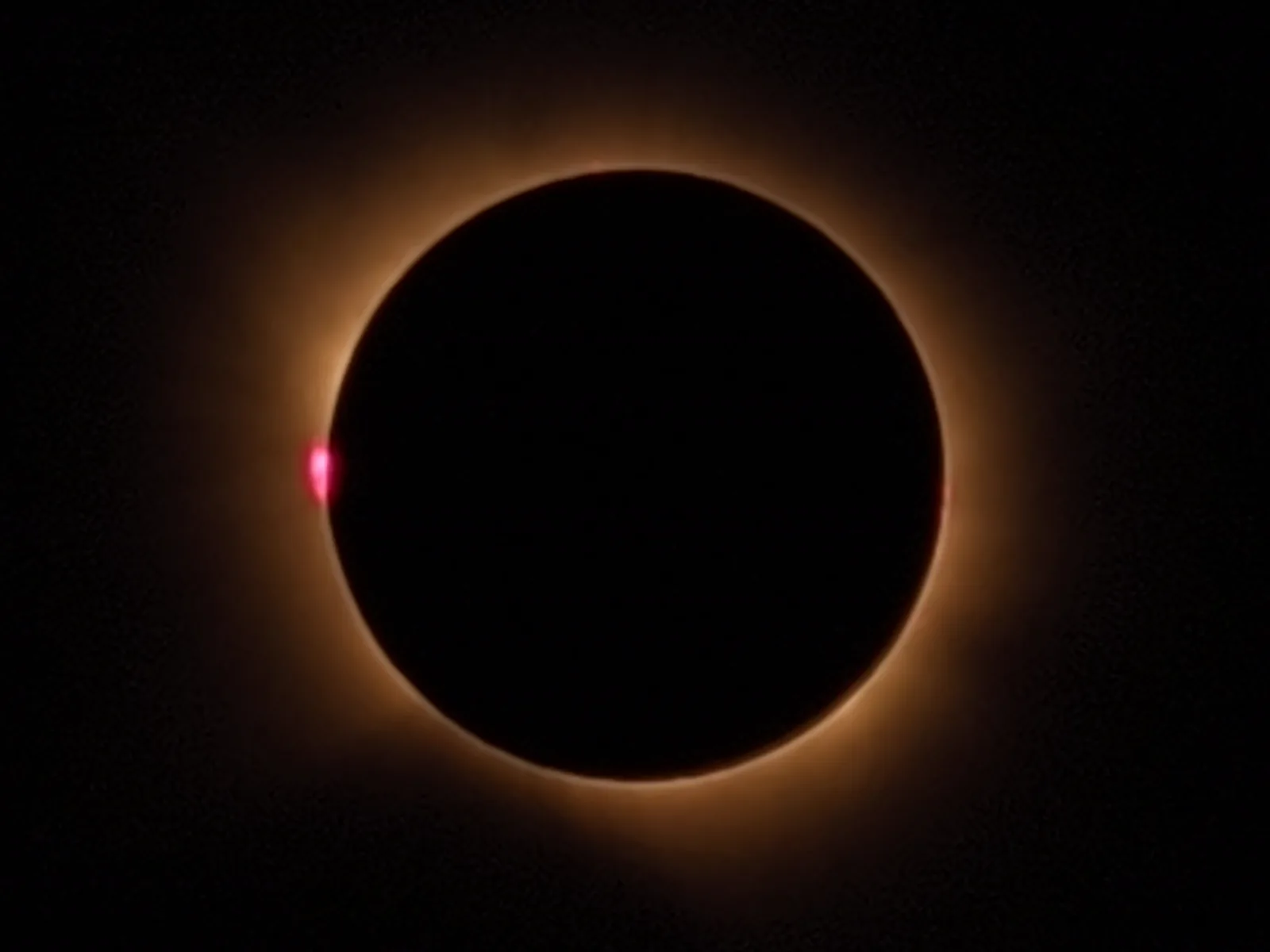 Totalidad, con protuberancias solares (en rosa)